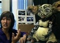 Robot Pals picture