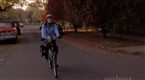 Transport 1: The Bike Community