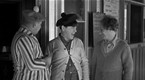 Three Stooges Collection 1934-1936: Three Little Beers