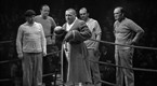 Three Stooges Collection 1934-1936: Punch Drunks