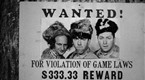 Three Stooges Collection 1934-1936: Whoops, I'm An Indian