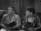 The Three Stooges Collection | Season 1 Episode 10 | Hoi Polloi