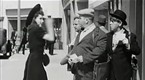 The Three Stooges Collection: Boobs In Arms