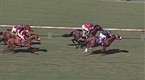 TVG: Kristin Mulhall Interview Part 4