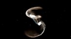 SpaceRip: Hubble Galaxies Gone Wild