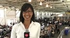 RoboGames: a fight 'til the death