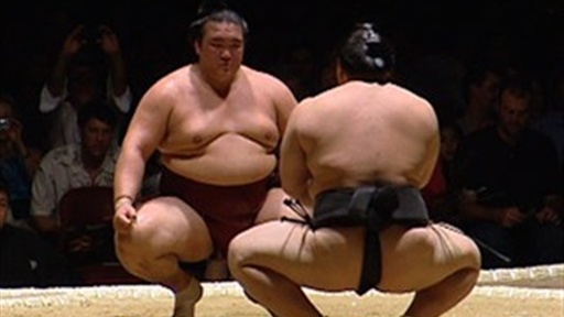 Sumo In Los Angeles