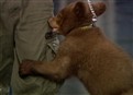 Late Night Underground: Aww picture