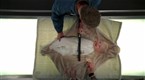 Bones: The Baby in the Bough (season 3, episode 12)