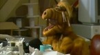 ALF: A Little Bit of Soap (season 1, episode 14)