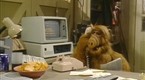 ALF: The Gambler (season 1, episode 23)