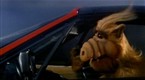 Alf