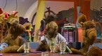 ALF: Help Me, Rhonda (season 1, episode 7)
