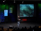 David Gallo Shows Underwater Astonishments