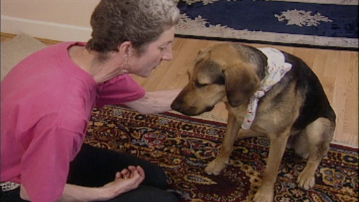 Escape Artist, No-Hugs Dog, Dog Massage Video