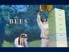 Bees!