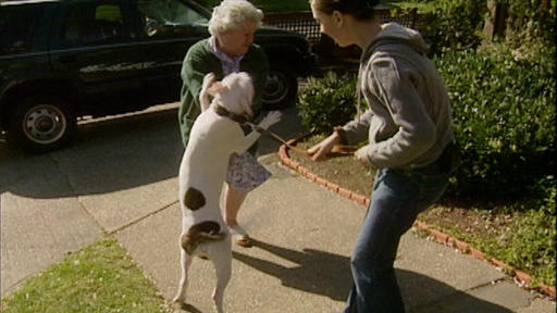 Dangerous Greeter,The Contolling Dog, Leash Mods
