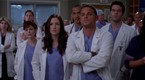 Grey's Anatomy Recap: State of Love and Trust