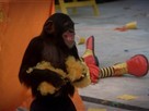 Kids Party