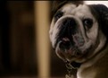 play video on Hulu