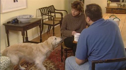 Barkers and Lungers, Dog Muzzling