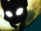 Black Cat | Season 1 Episode 1 | The Solitary Cat