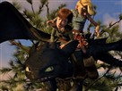How to Train Your Dragon