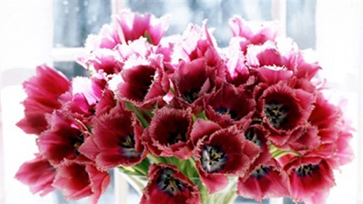 How To Make Cut Flowers Last Longer