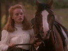 Wrangler - Full Movie