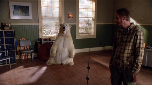 Dead Bear Walking