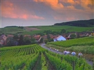 France’s Alsace