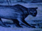 Animal X | Season 1 Episode 10 | Alien Big Cats