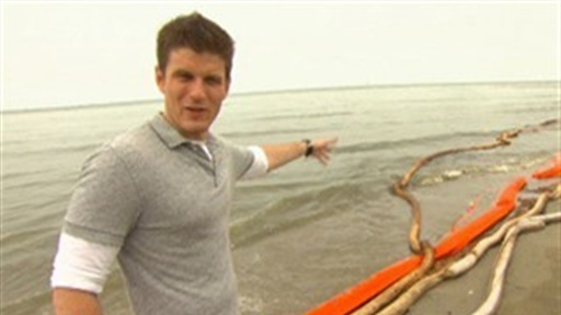 BP Oil Spill Effect On Wildlife Video