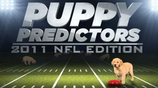 Late Night Puppy Predictors