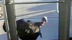 The Jay Leno Show: Condo Turkey