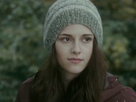 Life After Twilight: What Will Happen to Its Stars?