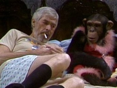 I Married a Monkey III Video