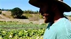 Cooking Up A Story: A New Family Farmer