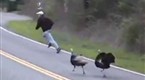 The Jay Leno Show: Turkey Chase