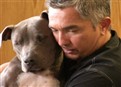 How to Raise the Perfect Dog picture