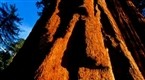 01x15 The Lumberyard