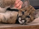 Jeff Corwin, Part 1