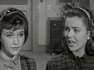 The Donna Reed Show | Season 3 Episode 18 | Variations On a Theme