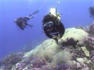 Earth Focus | Season 1 Episode 4 | Studio of the Sea