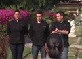 play video on Hulu