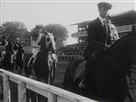 Year in Review: 1930