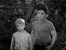 Lassie (1954) | Season 5 Episode 33 | Teamwork