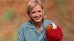 Sesame Street: It All Adds up