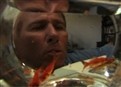 Househusbands and Pets picture