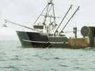 Wicked Tuna | Nantucket Sleigh Ride